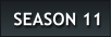 SEASON 11